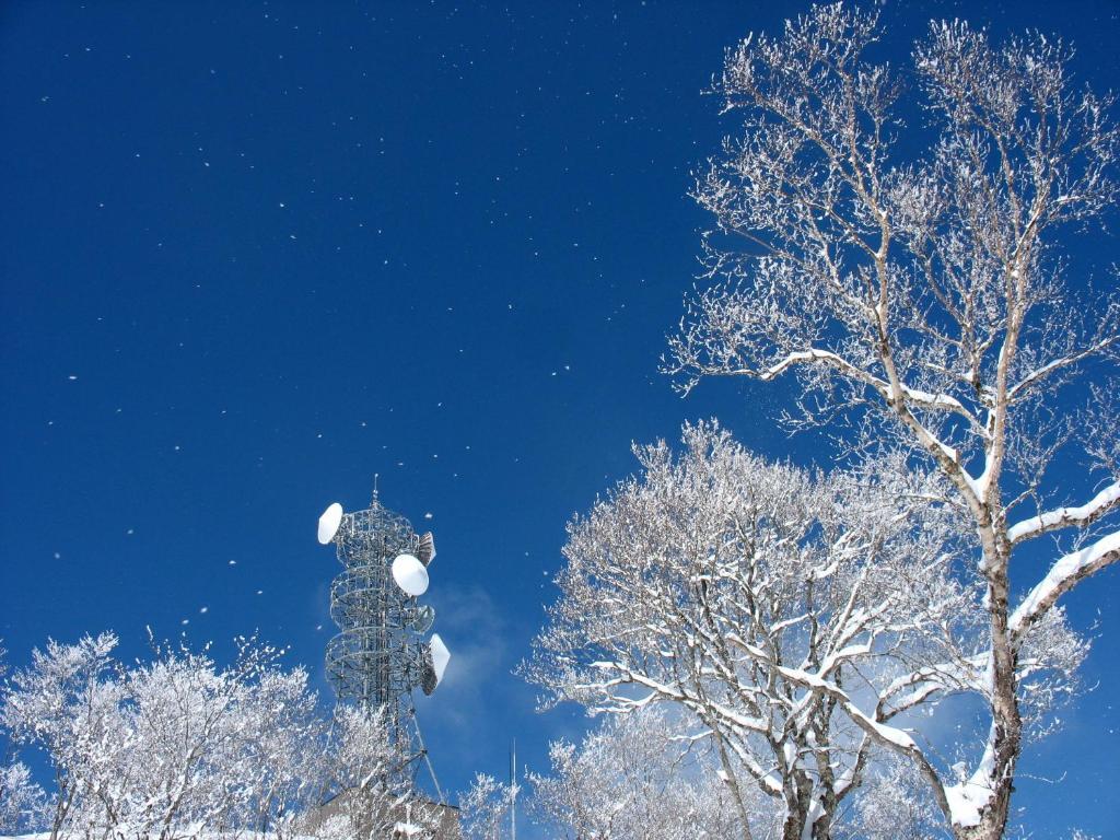 Nozawa Onsen Hotel Экстерьер фото